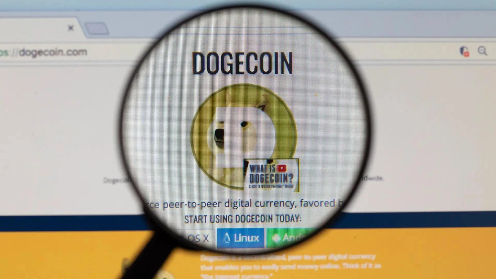 DogeOS Launches DeFi Testnet, Aims to Empower Dogecoin Miners