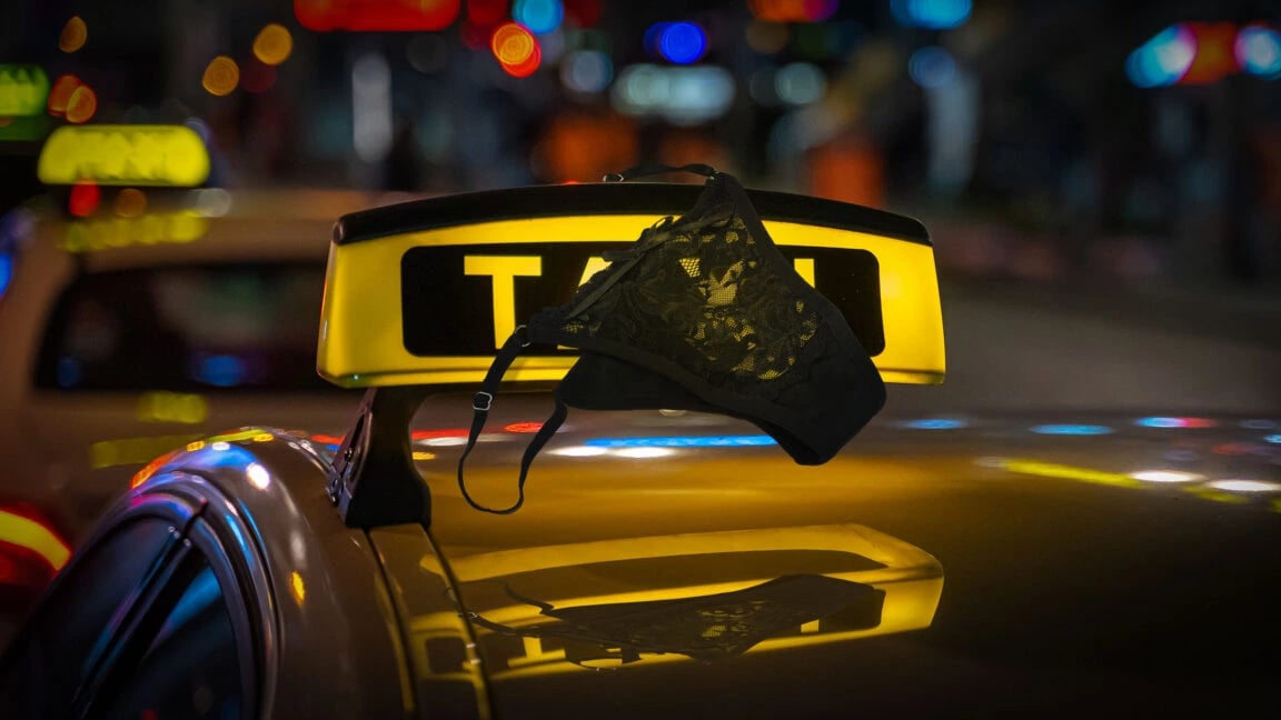 Designing Robotaxis: Can Aesthetic Choices Prevent Public Indecency?