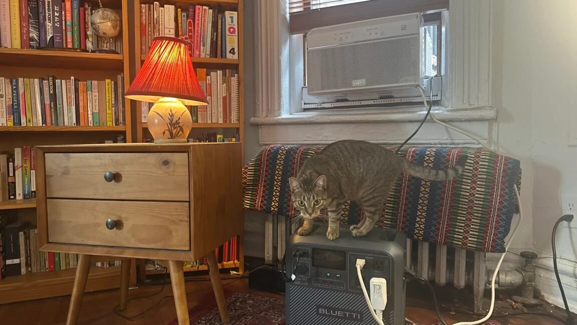 NYC's Innovative Battery Program: A Cool Solution for Window AC Units