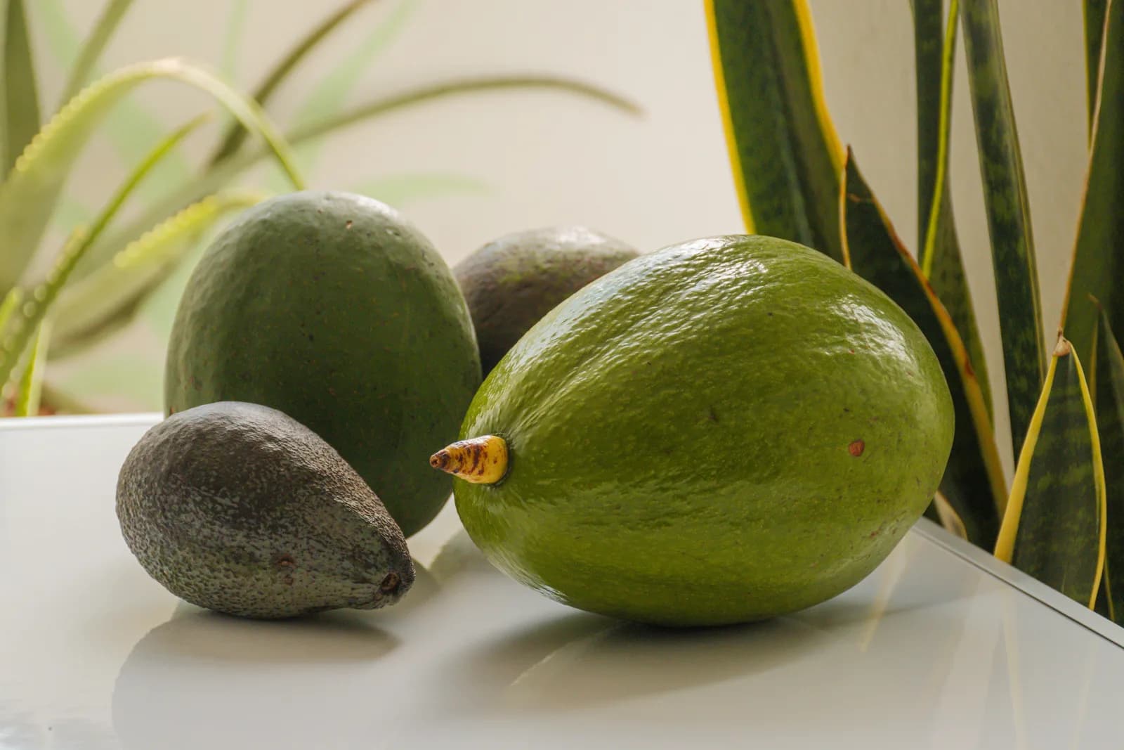 Avocado Benefits: What You Need to Know About Nutrition and Health